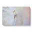 White Peacock In Abstract - Wrapped Canvas-55299416
