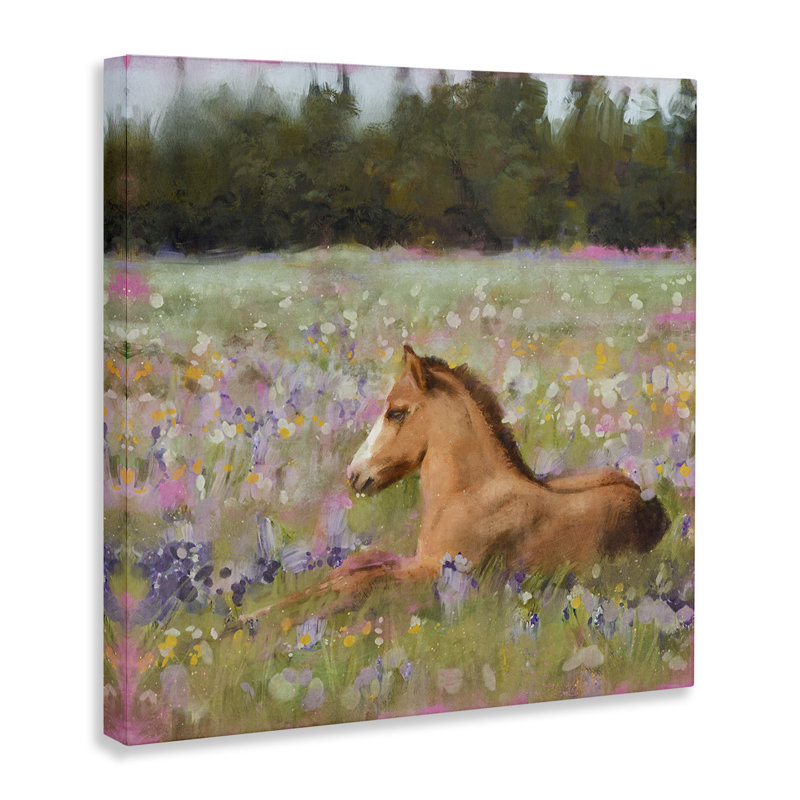 Foal Horse Lounging in Flower Meadow Canvas Art