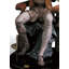 Statue i am don quixote