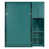 Teal sélectionné