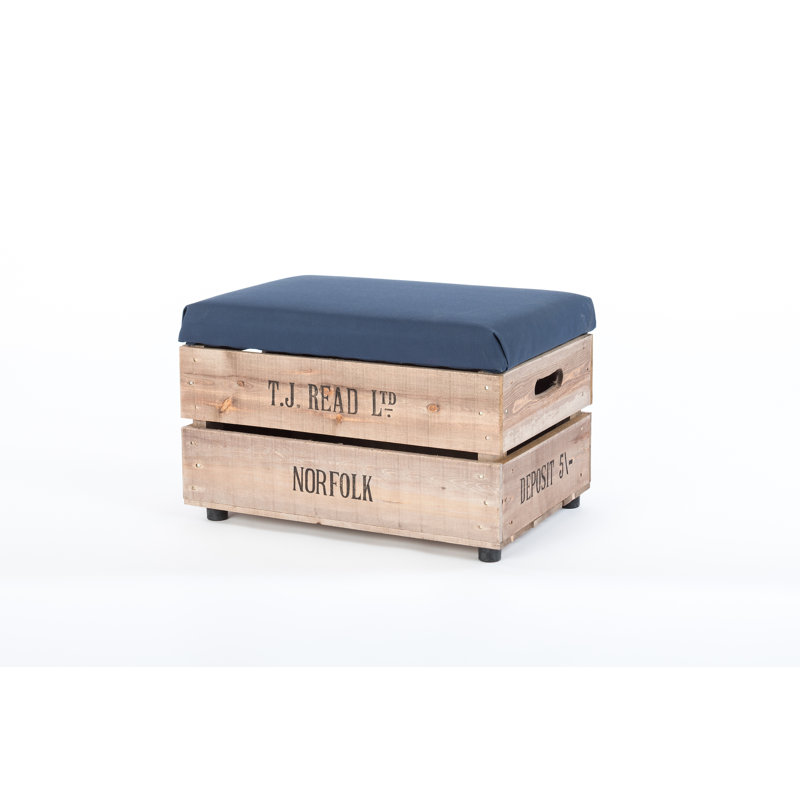 Edmonson Upholstered Outdoor Ottoman, Blue
