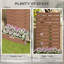 Raised Garden Bed
