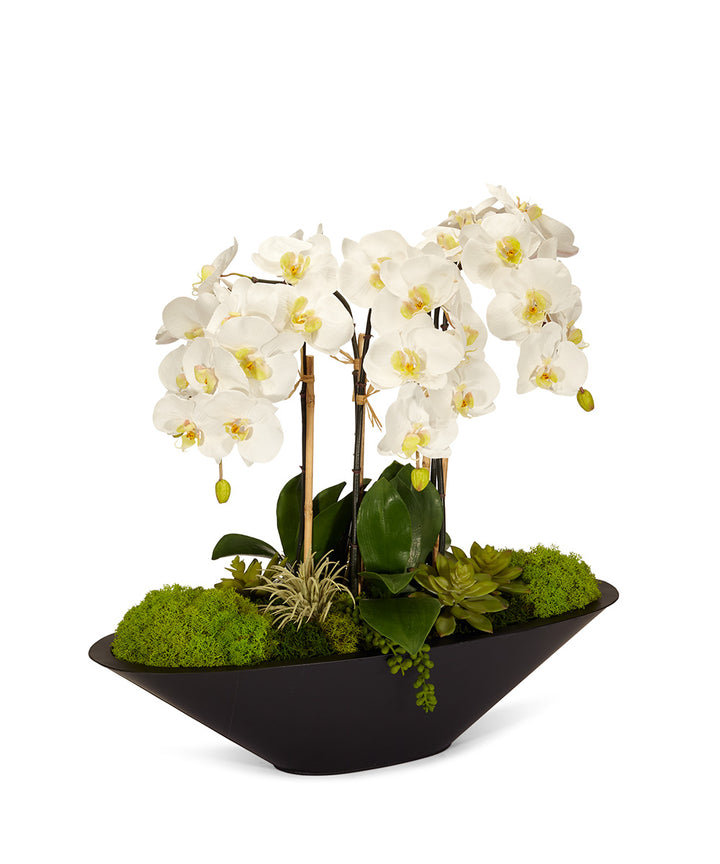 Orchid Floral Arrangement in Metal Planter T&C Floral Company Flower 