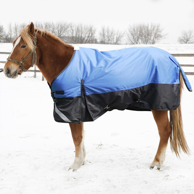 Couverture de cheval pour les vrais chevaux, couverture imperméable et stable pour l'hiver, durable et chaude