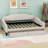 Full-Size Linen Upholstered Daybed with Two Drawers