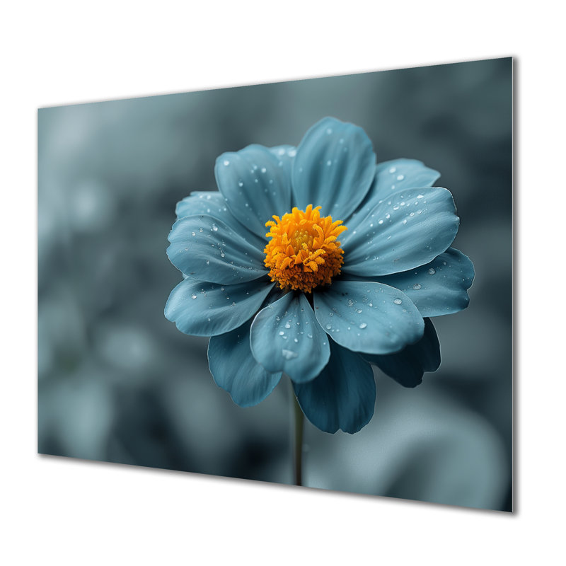 «Blue Grey Natures Marigold Photo», art mural souci, Sans cadre, métal, H 16 po x l 32 po