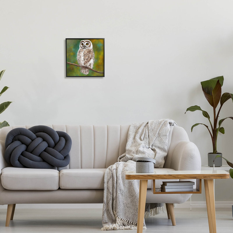 «Owl», art giclée détaillé par Alpenglow, Giclée encadrée noir minuit, H 12 po x l 12 po x P 1,5 po