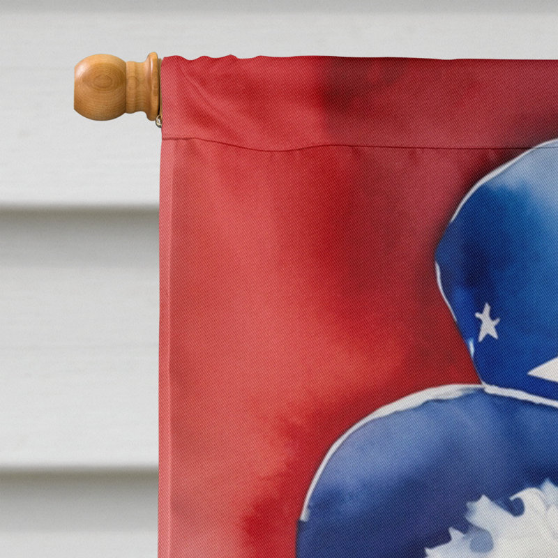 Drapeau patriotique de la maison américaine, Maltipoo