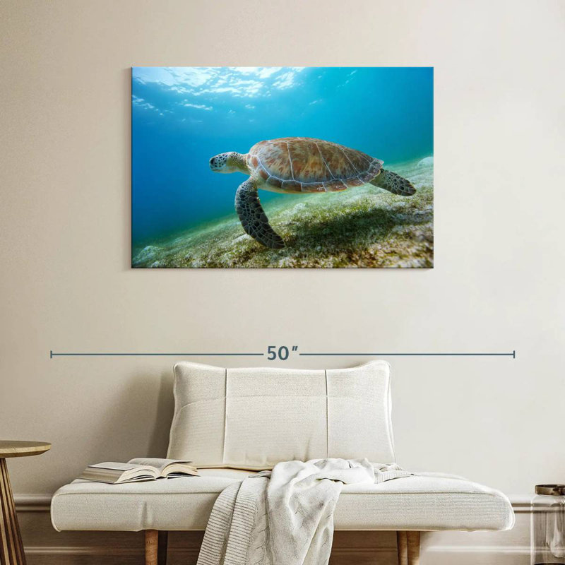 Brampt Hawksbill Turtle In Motion, 26" H x 39" W