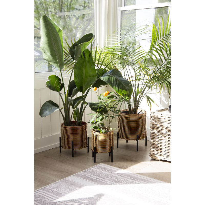 Support pour plante 3 pièces Adabella