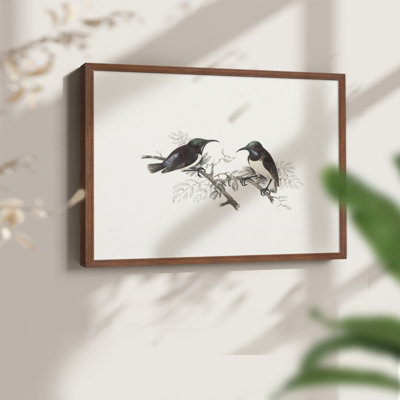 Faune rétro-XXIII - reproduction encadrée - réaménageable