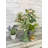Rose Arrangement-436932826