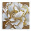" Golden Bloom II "-21907186