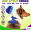 Ensemble de marche et laisse Katziela-98331650-98331653