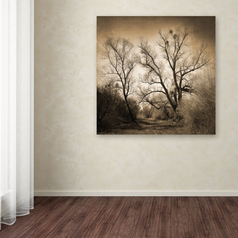 "sépia ghost" par philippe sainte-laudy,, impression sur toile, H 14 po x l 14 po x P 2 po