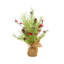14 plantes