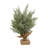 15'' Faux Cedar Tree in Freestanding
