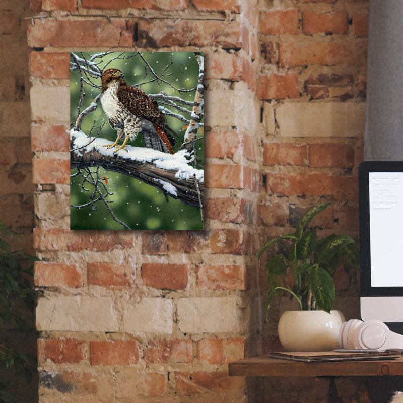 «Red Tailed Hawk» par William Vanderdasson, H 16 po x l 12 po x P 0,75 po