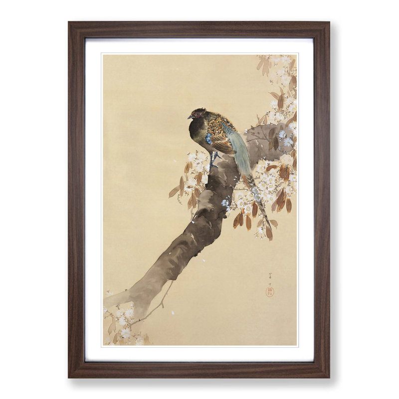 Pheasant on a Cherry Blossom Tree by Ohara Koson - Picture Frame Painting Print, Walnut Framed, 65cm H x 48cm W x 2cm D