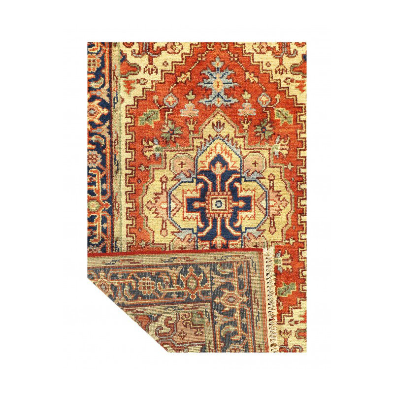 Barriner Hand Knotted Area Rug in Rust
