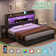 Sherell Bed Frame with 4 Storage Drawers