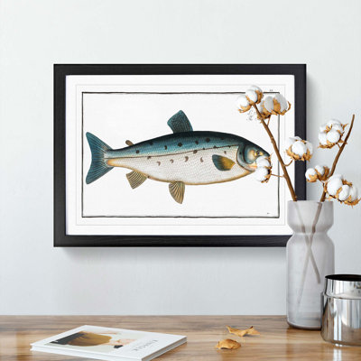 Salmon Fish by M.E. Bloch - Picture Frame Painting Print