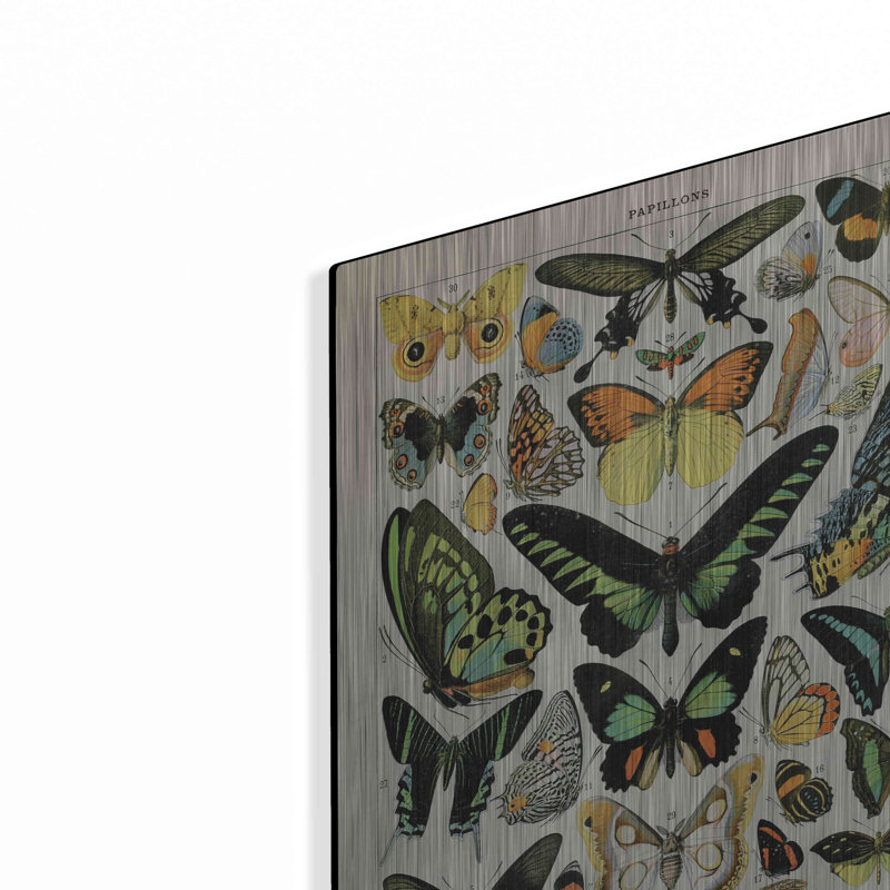 "Papillons 2" par Susan Ball, H 16 po x l 12 po