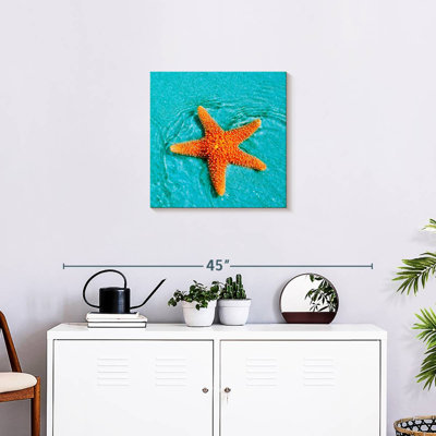 Brampt Submerged Starfish