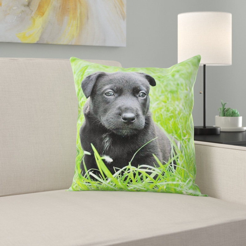 Coussin pour chien