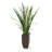 Herbe de feuillage artificiel 33" dans un pot de fleurs