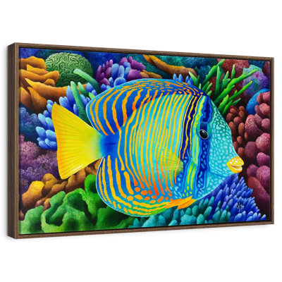 Sailfin Tang