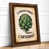 Walnut
