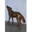 Navarrete Wolf Standing and Howling Life Size Bronze Statue - Size: 45"L x 15"W x 34"H.