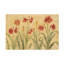 Rouleau de baryum roux, Amaryllis-105718224