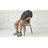 Side Chair Dining Chair (Set of 2)