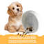 8In Natural Marble Dog Bowl Dish