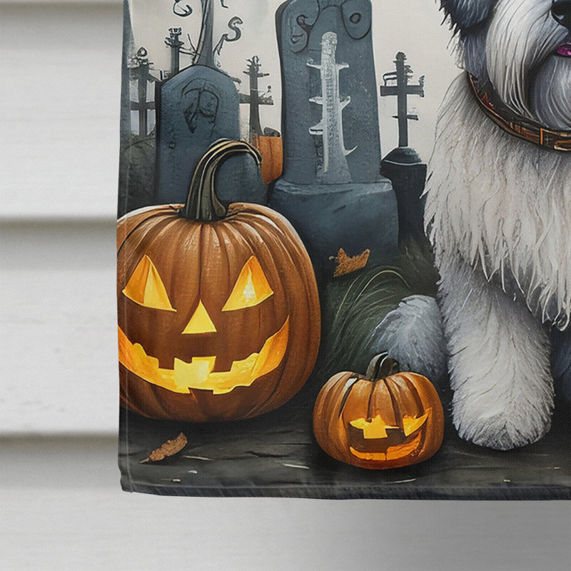 Double Sided 40'' H x 28'' W Polyester Halloween House Flag