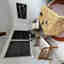 Photos des clients 1 de 1