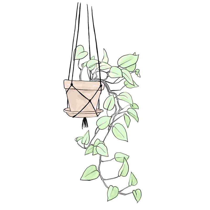 " Hanging Plant " Painting Print, 18" H x 12" W  