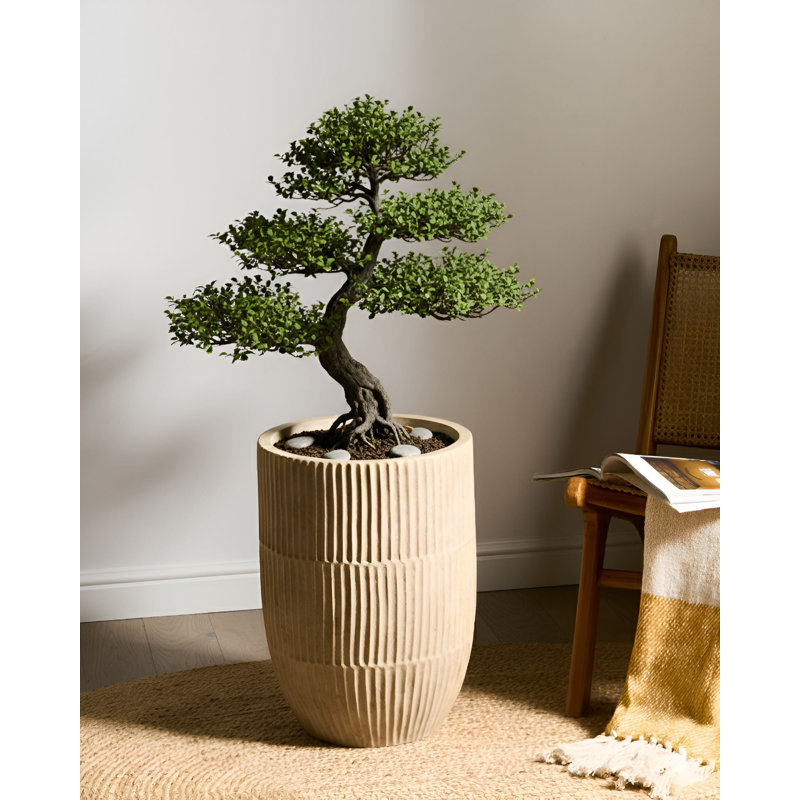 Pot Planter