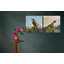 Bird Set by John Beard - Artist Enhanced Canvas Print-808082186-808521853