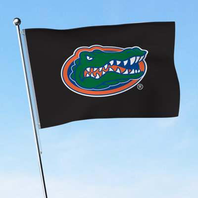 Florida Gators - 2' x 3' Printed Nylon Flag - NCAA Licensed