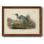 Audubons Blue Heron, reproduction d'art sur toile-2120642642-2120642643