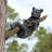 Up a Tree Black Bear Cubs Climbing and Hangings Statue Set