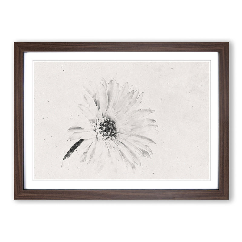 Flower - Picture Frame Painting Print, Walnut Framed, 36cm H x 48cm W x 2cm D