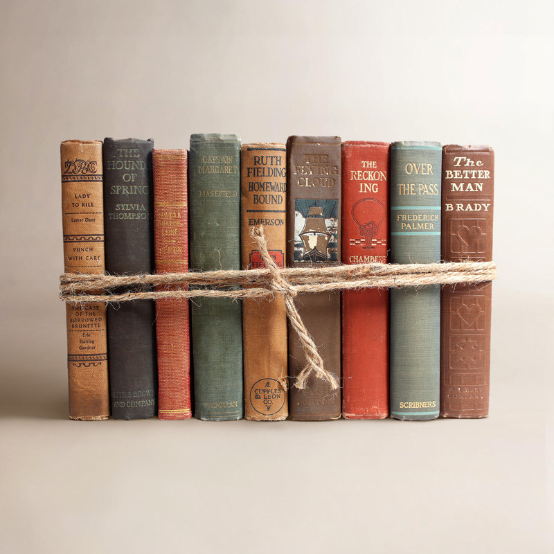 Vintage Cabin Snook Decorative Book Set