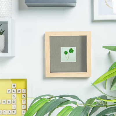 Shadow Box Picture Frame with Mat