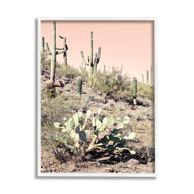 Summer Dessert Landscape Cactus Prickly Pear Pink Wrapped Canvas Photograph