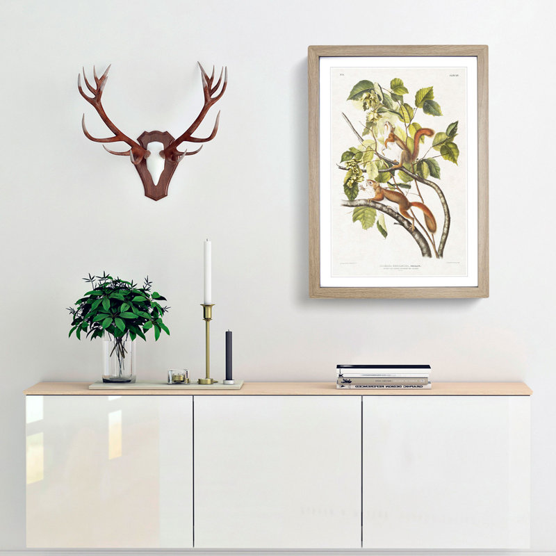 Red Squirrels by J.W. Audubon - Picture Frame Painting Print, Oak Framed, 48cm H x 36cm W x 2cm D