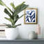 Bleu eucalyptus I - impression encadrée-118052897-118052894